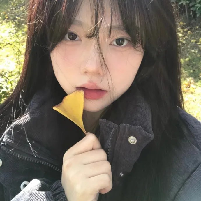 极品芝麻官
